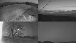 Sdružený snímek Bludný