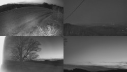 Sdružený snímek Bludný