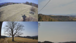 Sdružený snímek Bludný