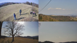 Sdružený snímek Bludný