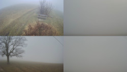 Sdružený snímek Bludný