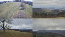 Sdružený snímek Bludný