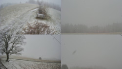 Sdružený snímek Bludný