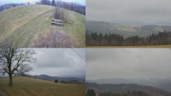 Sdružený snímek Bludný