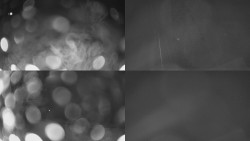 Sdružený snímek Bludný