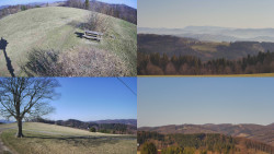 Sdružený snímek Bludný