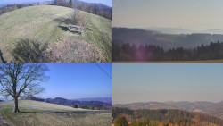 Sdružený snímek Bludný