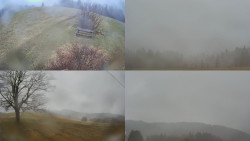 Sdružený snímek Bludný