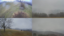 Sdružený snímek Bludný