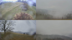 Sdružený snímek Bludný