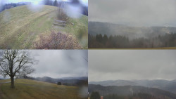 Sdružený snímek Bludný