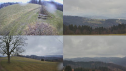 Sdružený snímek Bludný