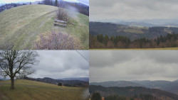 Sdružený snímek Bludný