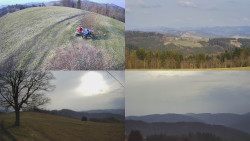 Sdružený snímek Bludný