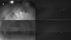 Sdružený snímek Bludný