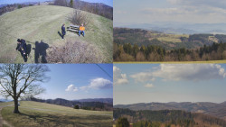 Sdružený snímek Bludný