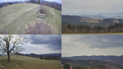 Sdružený snímek Bludný