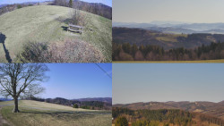 Sdružený snímek Bludný