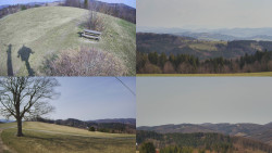 Sdružený snímek Bludný