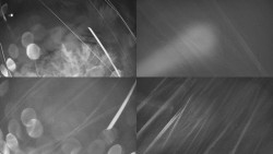 Sdružený snímek Bludný