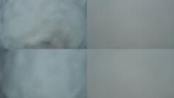 Sdružený snímek Bludný