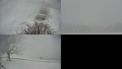 Sdružený snímek Bludný