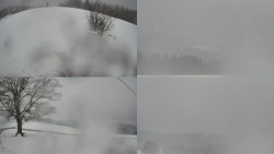 Sdružený snímek Bludný