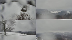 Sdružený snímek Bludný