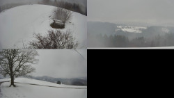 Sdružený snímek Bludný