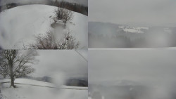 Sdružený snímek Bludný