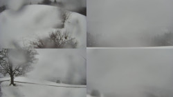 Sdružený snímek Bludný