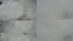 Sdružený snímek Bludný