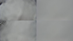 Sdružený snímek Bludný