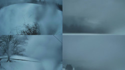 Sdružený snímek Bludný