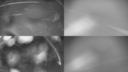 Sdružený snímek Bludný