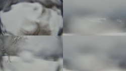 Sdružený snímek Bludný