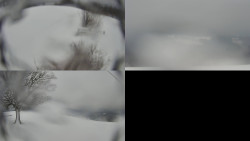 Sdružený snímek Bludný