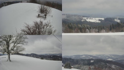 Sdružený snímek Bludný