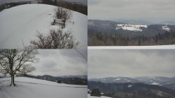 Sdružený snímek Bludný