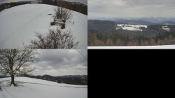 Sdružený snímek Bludný