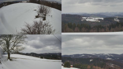 Sdružený snímek Bludný