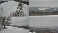 Sdružený snímek Bludný