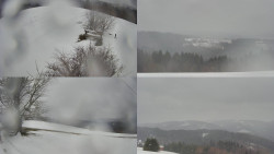 Sdružený snímek Bludný