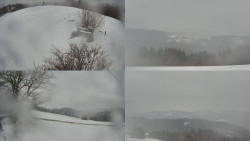 Sdružený snímek Bludný