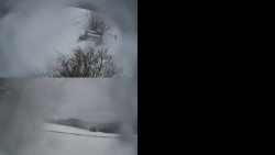 Sdružený snímek Bludný