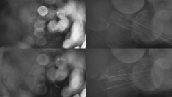 Sdružený snímek Bludný