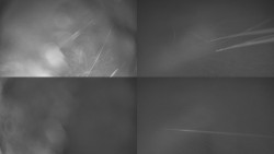 Sdružený snímek Bludný