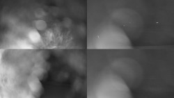 Sdružený snímek Bludný