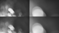 Sdružený snímek Bludný