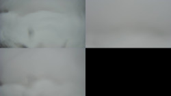 Sdružený snímek Bludný